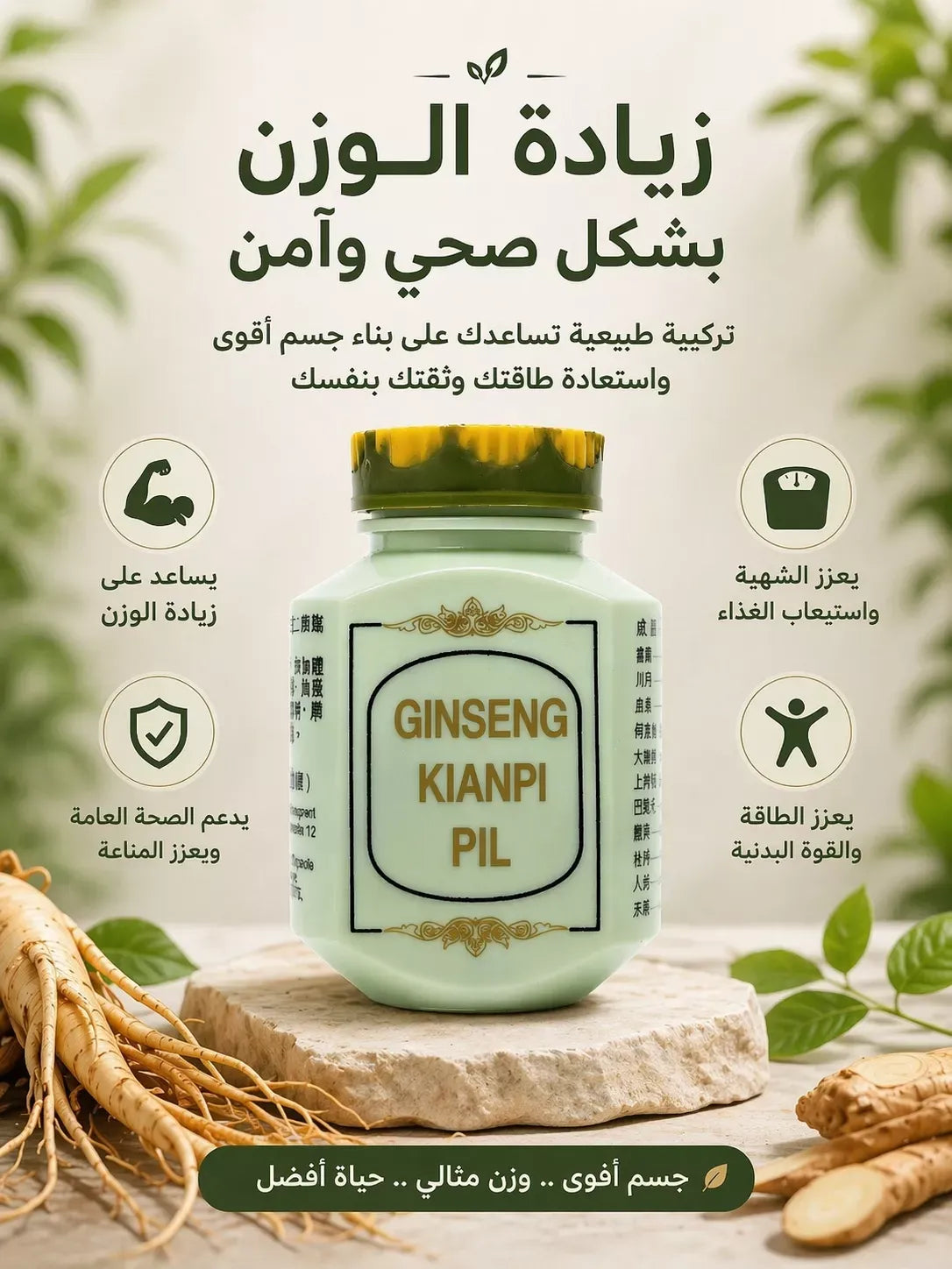 GINSENG KINAPI PIL حبوب جينسنغ كيانبي